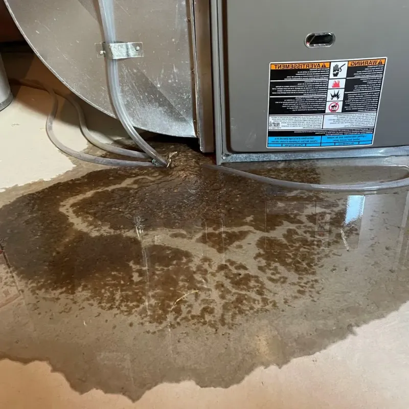 Pipe Burst and Leak Restoration in Muse, PA