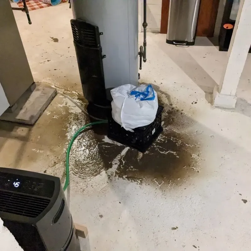 Sewage Backup Cleanup Service in Muse, PA